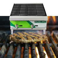 Barbecue au gaz professionnel avec brûleur à pierre de lave, 35 000 BTU