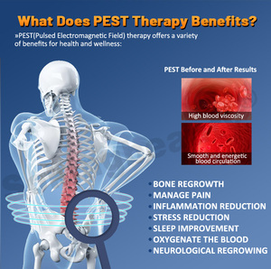 <span class=keywords><strong>2025</strong></span> New Arrival vật lý trị liệu Pest Loop Pro Mat transcranial cải thiện hiệu suất kép điều khiển xung Pest Loop Pro thiết bị - Product Image 2