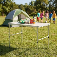 Table de repas pliante extérieure en aluminium, légère et durable, étanche, design moderne personnalisé, idéale pour la salle de sport, le barbecue, l'hôpital - Vente chaude