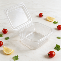 Saladebak PP met deksel, diverse inhoud, transparant, food grade verpakking, geschikt voor fruit, magnetronbestendig, restaurant, supermarkt