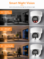 Caméra de sécurité dôme PoE extérieure mini 2MP IP54 avec capteur CMOS, stockage cloud NVR, micro/audio intégrés, détection humaine, sphère métallique