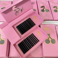 Extensions de cils en soie PBT faites à la main QC LASHES avec logo personnalisé, courbures C CC D, 0.03 0.05 0.15mm, noir foncé brillant mat, plateaux de cils volume