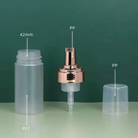 Bouteille de mousse givrée 100ml 120ml 150ml 200ml, flacons pompe à mousse argentés et or rose, bouteille en plastique PET mat pour nettoyant moussant