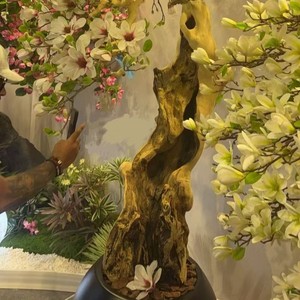 Arbre artificiel de magnolia blanc d'intérieur avec fleurs de cerisier artificielles en bois pour la décoration de restaurants, d'hôtels et de maisons - Product Image 6