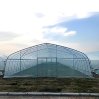 Rumah Kaca Lengkung Multi-span Pertanian dengan Rangka Logam untuk Budidaya Bunga Tropis dan Buah/Sayuran.