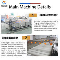 Machine voor het wassen, drogen en sorteren van mandarijnen, raap, tomaten, aardappelen en appels. Op maat gemaakte verwerkingsoplossingen voor groenten en fruit.