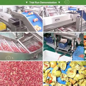 Автоматическая линия для производства гранатового сока: машина для очистки от кожуры, удаления косточек и извлечения семян - Product Image 3