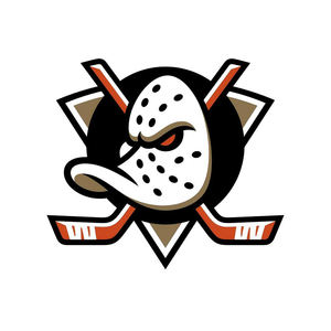 थोक 32 यूएस विननीपेग जेट टीम लोगो प्रशंसकों की बड़ी चेन हार हिप हॉप 3 डी एवा फोम हार - Product Image 2