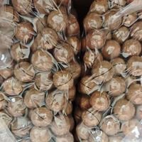 Noix de macadamia brutes australiennes ; saveurs vanille et originales ; pour la consommation ; emballage personnalisé disponible