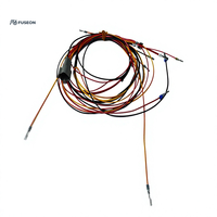 Rangkaian Kabel Panjang untuk Bodi Sasis Otomotif, Selubung Kepang Multi-Cabang, Kabel Harness Kustom OEM 12V 24V