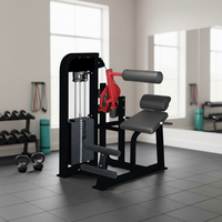 Appareil de musculation pour le bas du dos, machine d'extension dorsale assise Select