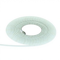 Bande LED néon en silicone DC12V, indice de protection IP65, certifiée CE, dimmable, garantie 3 ans, durée de vie 50000 heures, pour la publicité et la décoration