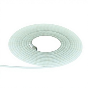 Luces LED de Silicona de Neón, 8W/M, DC12V, IP65, Multicolor, Temperatura de Color Ajustable, Garantía de 3 Años, para Publicidad Comercial y Decoración, con Certificación CE - Product Image 3