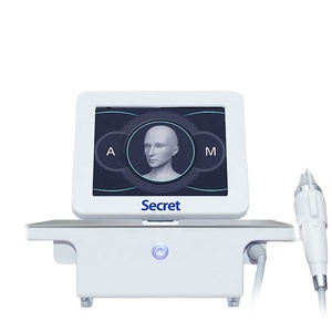 Rouleau de glace à micro-aiguilles portable pour le raffermissement de la peau, machine à micro-aiguilles pour le visage et le corps - Product Image 2