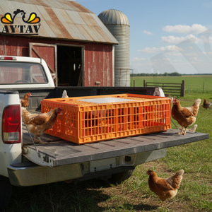 กรงขนส่งไก่แบบประตูด้านบนรุ่นใหม่ สำหรับ 12-16 ตัว กล่อง AYTAV สำหรับจัดการนกมีชีวิต ใช้ได้ทุกฤดู - Product Image 3
