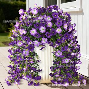 Vignes artificielles de fleurs de gloire du matin en plastique violet pour la décoration de la maison, bouquet - Product Image 1