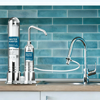 Système de filtration d'eau domestique avec logo personnalisé, réduit le plomb et le chlore, s'adapte aux robinets standard, filtre purificateur d'eau