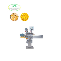 Aangepaste industriële automatische fruit- en groenteschiller/snijmachine van roestvrij staal 304, capaciteit 700 kg/uur voor commercieel gebruik