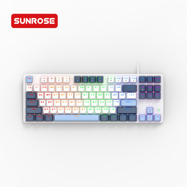 Hotswap RGB Russian Gaming Mechanical Keyboard Red Switches 87 Key Type C Interface English Language Featuring Color