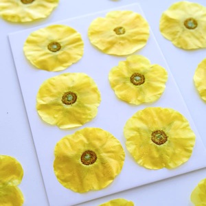 Flor Prensada de Madera de la India - Product Image 2