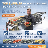 Volledig automatische multifunctionele sorteermachine voor het sorteren van litchi fruit en groenten op maat, voor commercieel gebruik