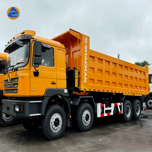Camion benne SHACMAN F3000 8x4 380HP Euro 2 pour travaux lourds SX3315DT306 pour le transport minier et la construction en Algérie, pièces de rechange - Product Image 4