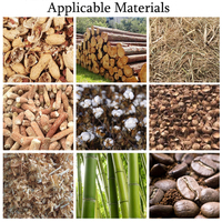 Máquina Extrusora de Briquetas Finas de Carbón Vegetal Bio Clean sin Humo de Fácil Operación ZHUOZHILAN MACHINERY
