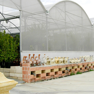 Multi-Span Agricultural Greenhouse <b>Large</b> Glass Cover Galvanized Steel Frame - Product Image 6