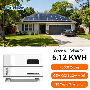 Lionshee 1kwhから6kwhスタック可能なパワーストレージリポバッテリーパックLi-poバッテリーLipo4 48v 200ahケースBms付き - Product Image 1