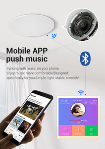 Mini amplificateur stéréo 2.0 canaux pour haut-parleurs, contrôleur intelligent, matériau ABS, récepteurs à montage mural, vente en gros - Product Image 6