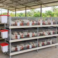 Nouvelle Offre Spéciale : Cage à Poulets Automatique de Type H en Acier Galvanisé à Chaud avec Longue Durée de Vie, Disponible à la Vente