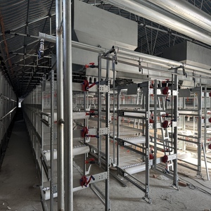Hochwertiger neuer H-Typ Automatischer RTL Geflügel-Batteriekäfig mit Tierpflegefunktionen für Hühner auf den Philippinen - Product Image 4
