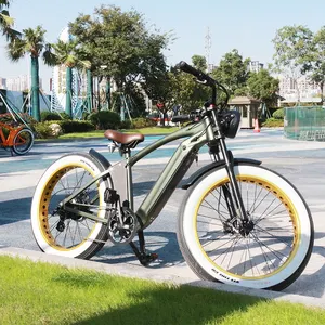 2022 neuestes Modell 1000w Fett reifen Fahrrad so elektrisch wie China s Elektro fahrrad Fahrrad