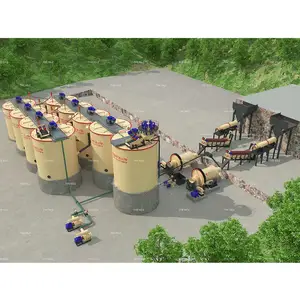 Attractive Price Small Scale Gold Leaching Plant 10Tpd Cip Plant Cil Plant