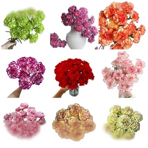 Bouquet <span class=keywords><strong>de</strong></span> <span class=keywords><strong>fleurs</strong></span> fraîches coupées Carnation, livraison directe pour la Fête des Mères et la Fête des Enseignants, usage domestique - Product Image 5