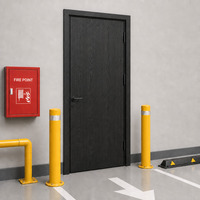 Porte d'hôtel ignifuge à isolation thermique, fabrication directe, taille et couleur personnalisées, design moderne pour bâtiment commercial