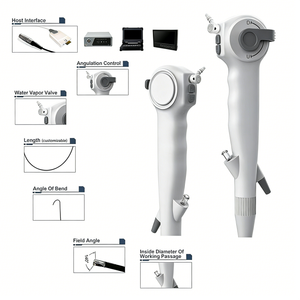 Ureteroscopio Flexible Veterinario para Animales Pequeños, Ureteroscopio con Canal de Trabajo de 1.2 mm para Gatos y Perros, Urología - Product Image 4