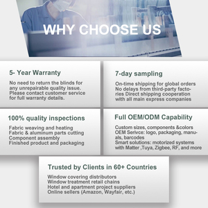 Tende <span class=keywords><strong>a</strong></span> Rullo Automatiche Personalizzate per Ufficio con Controllo Remoto WiFi e Filtraggio della Luce - Product Image 6