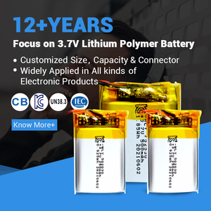 Customized WLY <strong>3.7v</strong> 150mAh 200mAh 250mAh 300mAh 400mAh 500mAh Lithium Ion <strong>Polymer</strong> <strong>Battery</strong> for Smart Watch