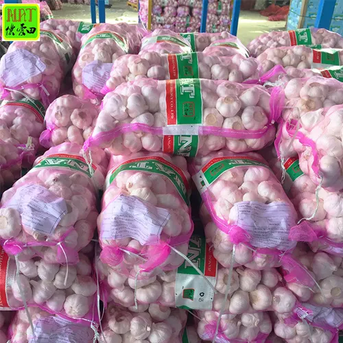 hot sale 5.5 cm normal white garlic for export with GLOBAL GAP 2023 newest crop China Organic white garlic wholesale with HACCP