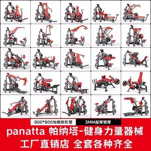Attrezzatura Fitness Panata: Macchina per Squat, Trazioni, Spinte, Sollevamento Petto, Allenamento Spalle, Abduzione Anca, Vogatore in Acciaio per Palestra - Product Image 5