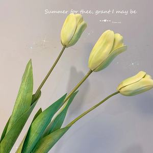 IFG Ingrosso 70cm <span class=keywords><strong>Fiori</strong></span> <span class=keywords><strong>di</strong></span> Tulipano Artificiali Real Touch per Matrimoni, Festa della Mamma, Halloween, Pasqua, Capodanno, Decorazioni per la Casa - 50 Pezzi - Product Image 6