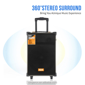 NDR-C12 Không Dây Loa Di Động 40W Có Thể Sạc Lại Âm Thanh Hộp Loa Loud Hệ Thống Âm Thanh Stereo Với Micro Kép Và Điều Khiển Từ Xa - Product Image 2