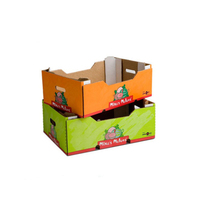 Carton en papier ondulé écologique pour fruits et légumes, boîte d'expédition légère mais robuste pour le commerce électronique transfrontalier