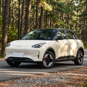 Modelo Más Vendido Geely Xingyuan 2026 Nuevo Vehículo Eléctrico Puro, Vehículo de Transporte Miniatura, Vehículos de Nueva Energía - Product Image 1