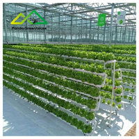 Système de serre hydroponique professionnel à canaux/gouttières de grande taille en promotion |   Solution NFT Commerciale pour Légumes à Feuilles Fortement Légères à Forte Demande