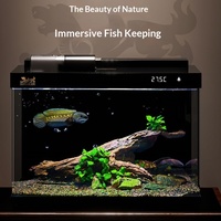 Aquarium intelligent avec filtration et oxygénation intégrées, verre ultra-clair, petit aquarium de bureau pour la maison, alimentation automatique des poissons
