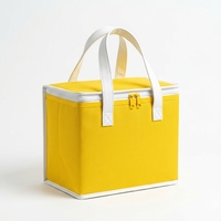 Tas Pendingin Terisolasi Nonwoven Laminasi Warna-Warni Custom Logo Grosir, Tahan Air, Termal, Dapat Digunakan Kembali, Untuk Pengiriman Makanan, Susu, Kue