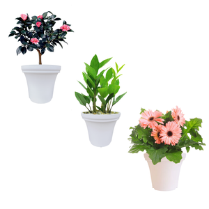 Pot de fleurs pour table, pots de fleurs polyvalents en plastique PP, résistants aux UV et à drainage supérieur, solution durable pour les espaces verts - Product Image 6
