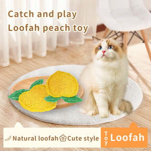 Jouet pour chat en forme de gourde éponge, style dessin animé pêche, pour le nettoyage des dents, l'entraînement et le plaisir autonome apaisant, fournitures naturelles pour animaux de compagnie - Product Image 2